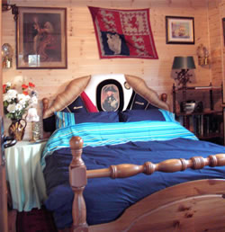Nelsons Cabin 